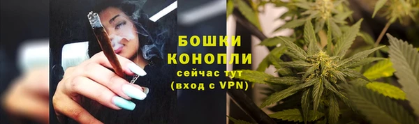 индика Богородицк